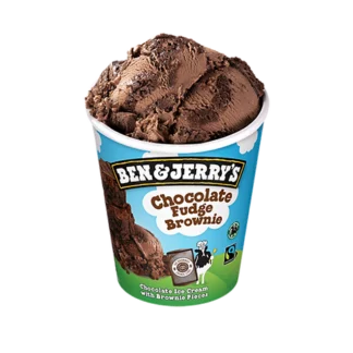 Ben & Jerry's Chocolate Fudge Brownie 100ml